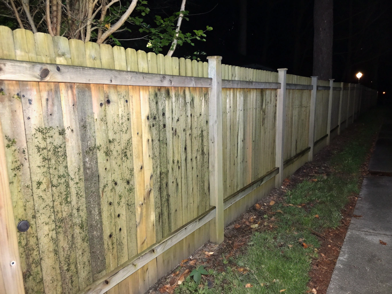 Fence Treatment - Before